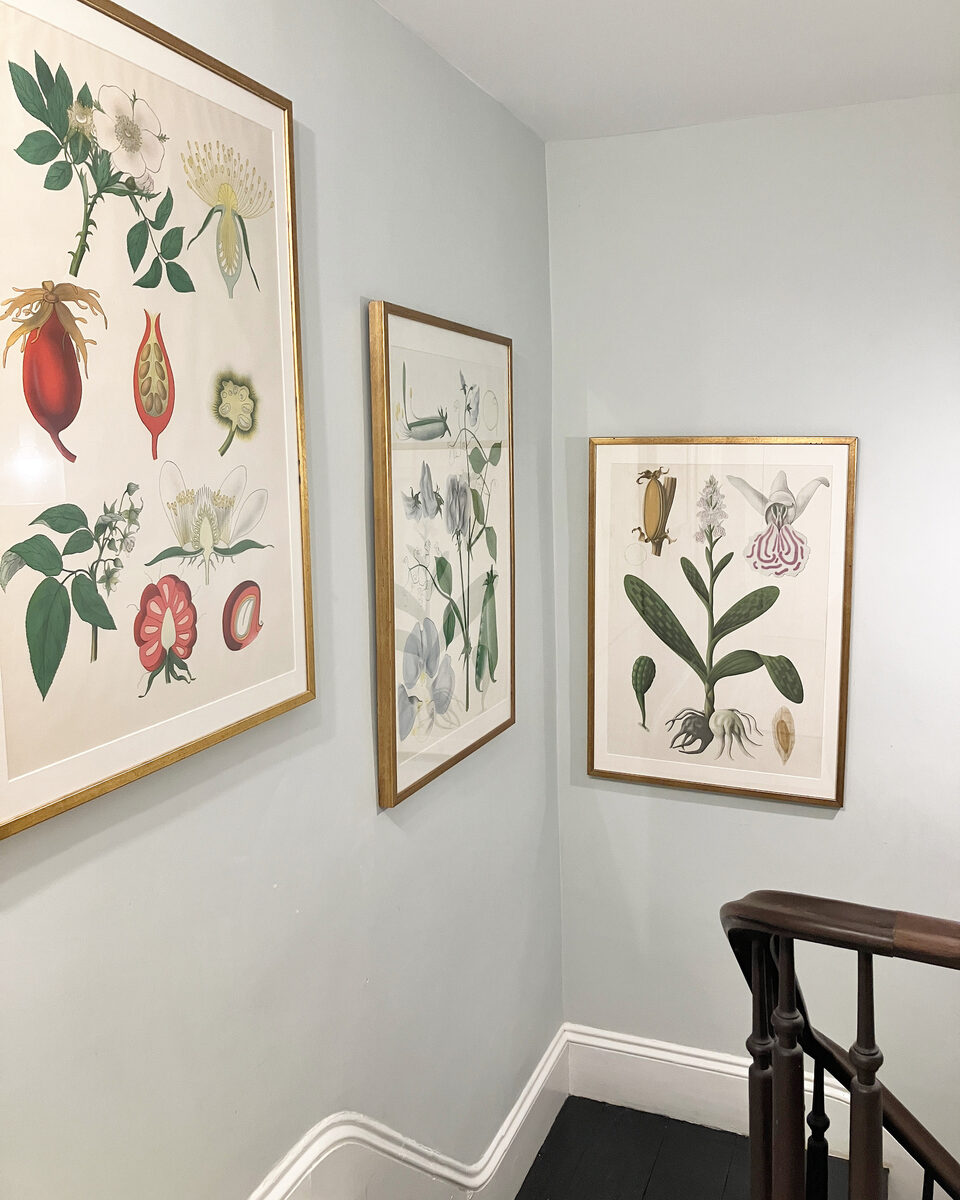 A stairwell hung with framed botanical prints against a soft blue-gray wall, turning the climb into a gallery.