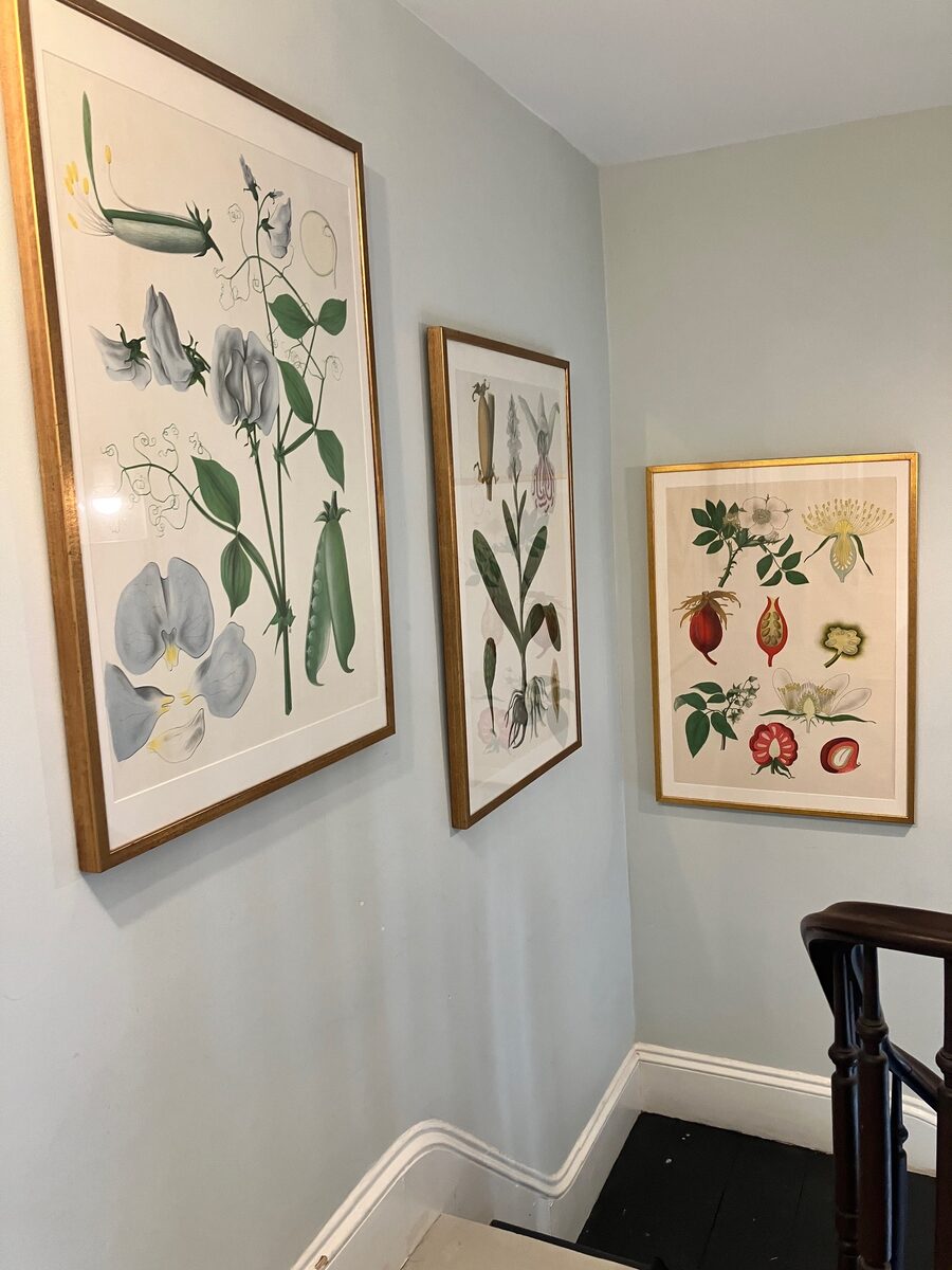 Gilt-framed botanical studies arranged along a pale blue stairwell wall.